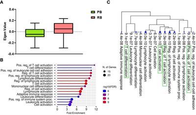Integrated transcriptomic analysis reveals immune signatures distinguishing persistent versus resolving outcomes in MRSA bacteremia